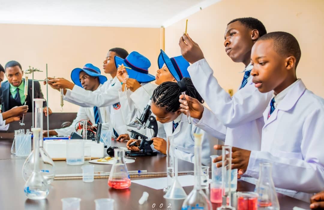 Alma Institute Gallery Image